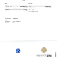 Jewelry Scan Report