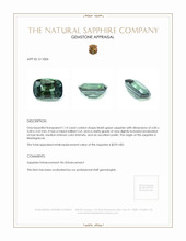 Jewelry Appraisal