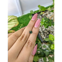 1.19 Ct. Sapphire from Madagascar Life Style