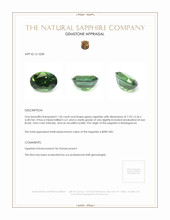 Jewelry Appraisal