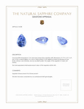 1.34 Ct. Blue Sapphire from Ceylon (Sri Lanka) Appraisal
