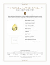 Jewelry Scan Report
