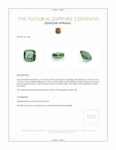 1.10 Ct. Green Sapphire from Ceylon (Sri Lanka) Appraisal