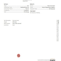0.95 Ct. Padparadscha Sapphire from Ceylon (Sri Lanka) Scan Report