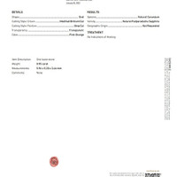 0.95 Ct. Padparadscha Sapphire from Ceylon (Sri Lanka) Scan Report