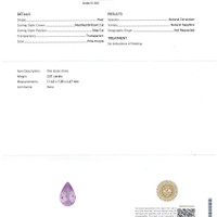 Jewelry Scan Report