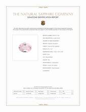 Jewelry Scan Report