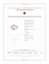 Jewelry Scan Report