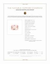 Jewelry Scan Report