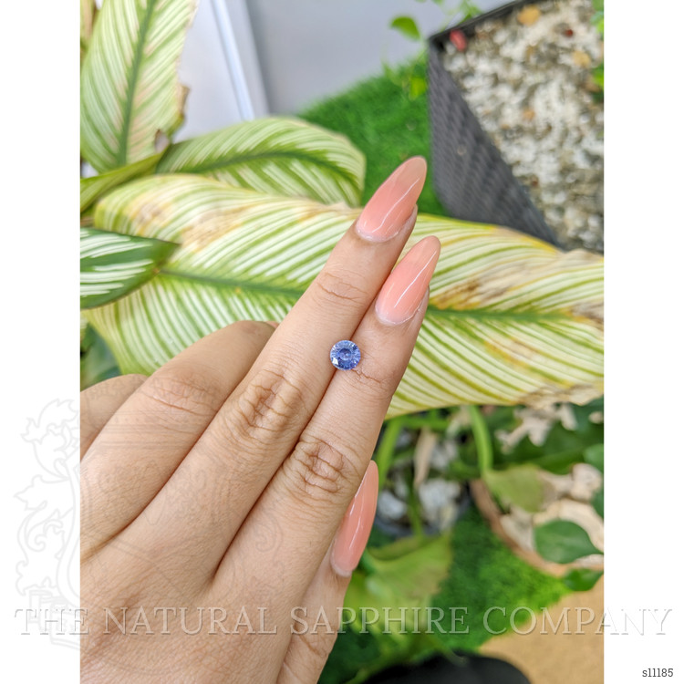 0.93 Ct. Blue Sapphire from Ceylon (Sri Lanka)