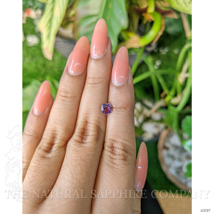0.77 Ct. Purplish Pink Sapphire from Ceylon (Sri Lanka)
