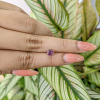 0.77 Ct. Purplish Pink Sapphire from Ceylon (Sri Lanka) Life Style