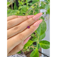 0.49 Ct. Pinkish Purple Sapphire from Ceylon (Sri Lanka) Life Style