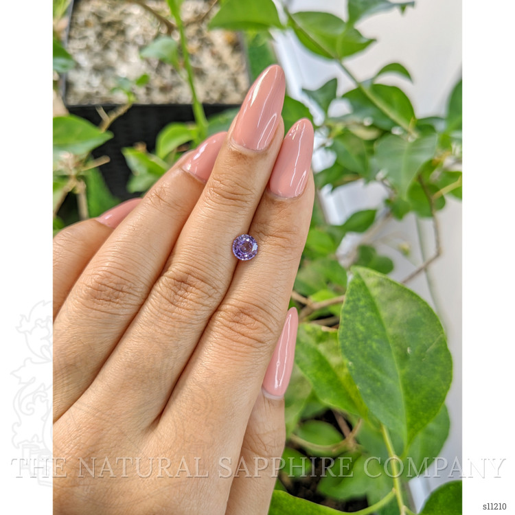 0.88 Ct. Purple Sapphire from Ceylon (Sri Lanka)