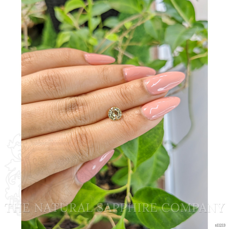 1.31 Ct. Yellow Sapphire from Ceylon (Sri Lanka)