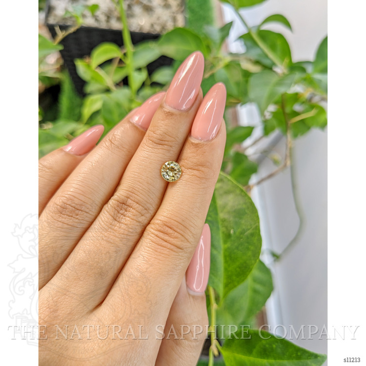 1.31 Ct. Yellow Sapphire from Ceylon (Sri Lanka)
