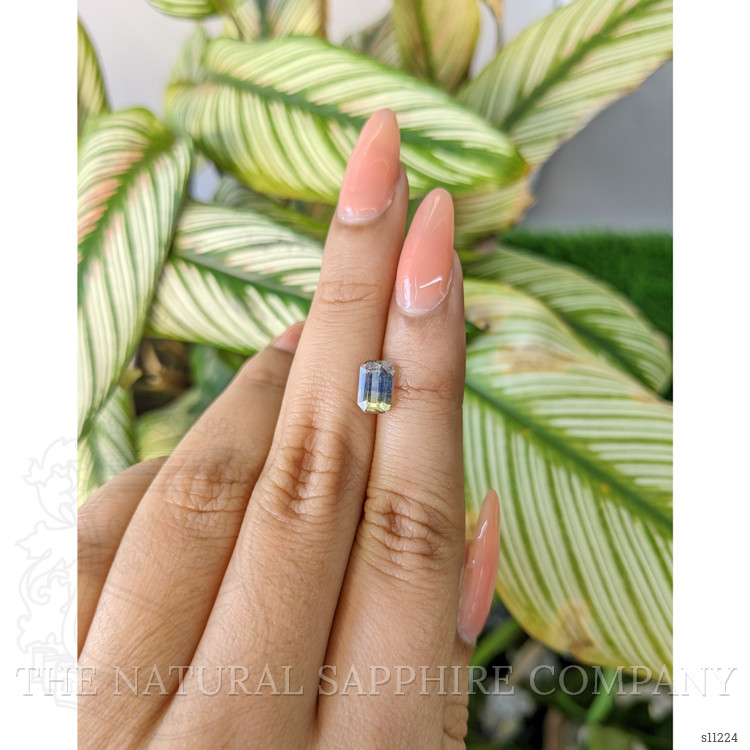 1.59 Ct. Bi Color Sapphire from Ceylon (Sri Lanka)