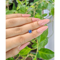 0.83 Ct. Blue Sapphire from Ceylon (Sri Lanka) Life Style