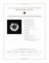 Jewelry Scan Report
