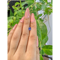 0.84 Ct. Blue Sapphire from Ceylon (Sri Lanka) Life Style