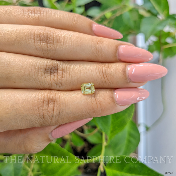 1.15 Ct. Yellow Sapphire from Ceylon (Sri Lanka)