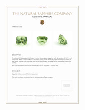 6.02 Ct. Sapphire from Ceylon (Sri Lanka) Appraisal