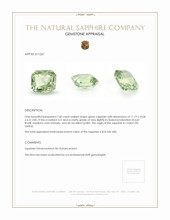 Jewelry Appraisal