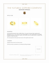 2.93 Ct. Yellow Sapphire from Ceylon (Sri Lanka) Appraisal