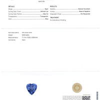 Jewelry Scan Report