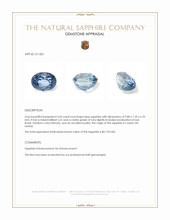 4.45 Ct. Blue Sapphire from Ceylon (Sri Lanka) Appraisal