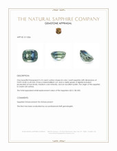 Jewelry Appraisal
