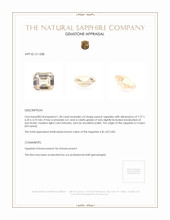 Jewelry Appraisal