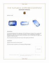 6.90 Ct. Bi Color Sapphire from Ceylon (Sri Lanka) Appraisal
