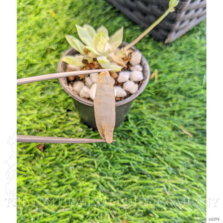 17.84 Ct. Bi Color Rough Sapphire from Ceylon (Sri Lanka)