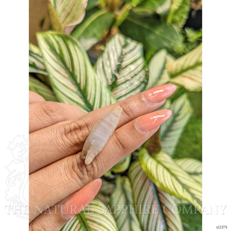 17.84 Ct. Bi Color Rough Sapphire from Ceylon (Sri Lanka)