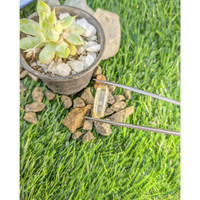 7.79 Ct. Bi Color Sapphire Crystal from Ceylon (Sri Lanka) Life Style