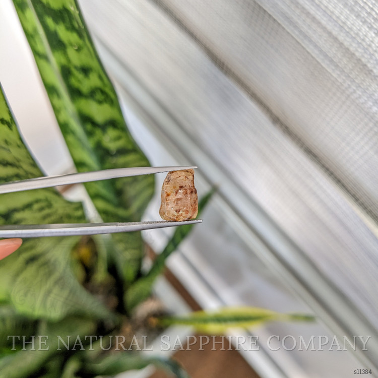 10.45 Ct. Brown Sapphire Crystal from Ceylon (Sri Lanka)