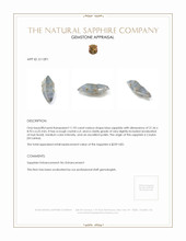 11.93 Ct. Blue Sapphire Crystal from Ceylon (Sri Lanka) Appraisal