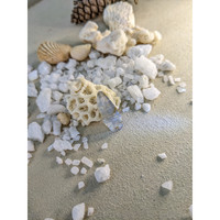 11.93 Ct. Blue Sapphire Crystal from Ceylon (Sri Lanka) Life Style