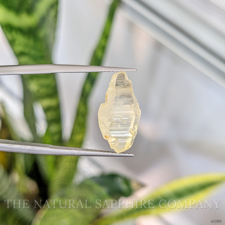 11.02 Ct. Yellow Sapphire Crystal from Ceylon (Sri Lanka)