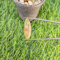 27.82 Ct. Yellow Sapphire Crystal from Ceylon (Sri Lanka) Life Style