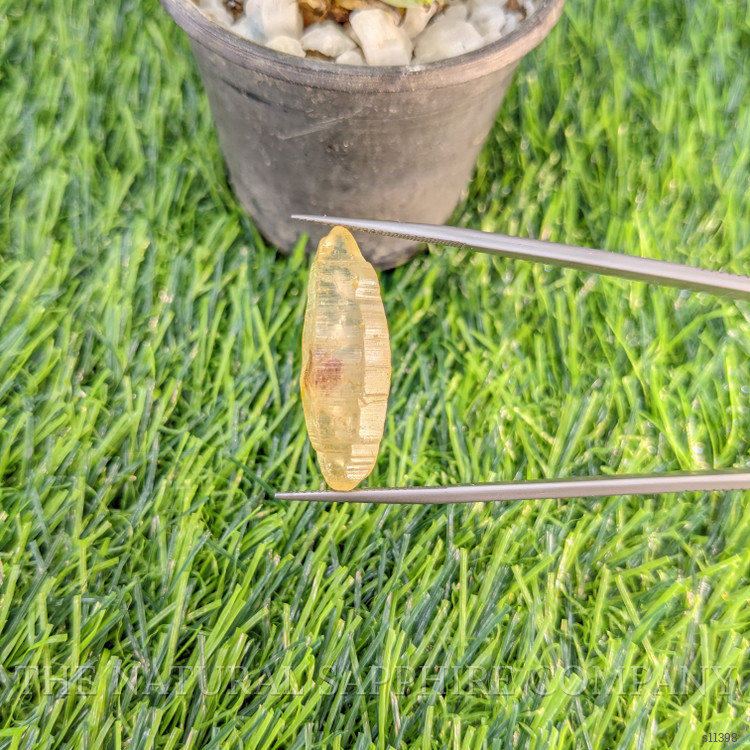 27.82 Ct. Yellow Sapphire Crystal from Ceylon (Sri Lanka)