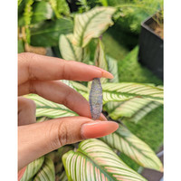 13.12 Ct. Blue Sapphire Crystal from Ceylon (Sri Lanka) Life Style