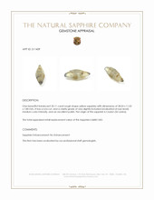 20.11 Ct. Yellow Rough Sapphire from Ceylon (Sri Lanka) Appraisal