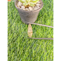 20.11 Ct. Yellow Sapphire Crystal from Ceylon (Sri Lanka) Life Style