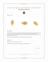 24.98 Ct. Yellow Sapphire Crystal from Ceylon (Sri Lanka) Appraisal