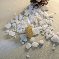 24.98 Ct. Yellow Sapphire Crystal from Ceylon (Sri Lanka) Life Style