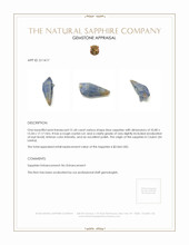 51.60 Ct. Blue Sapphire Crystal from Ceylon (Sri Lanka) Appraisal