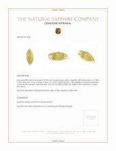 24.44 Ct. Sapphire from Ceylon (Sri Lanka) Appraisal