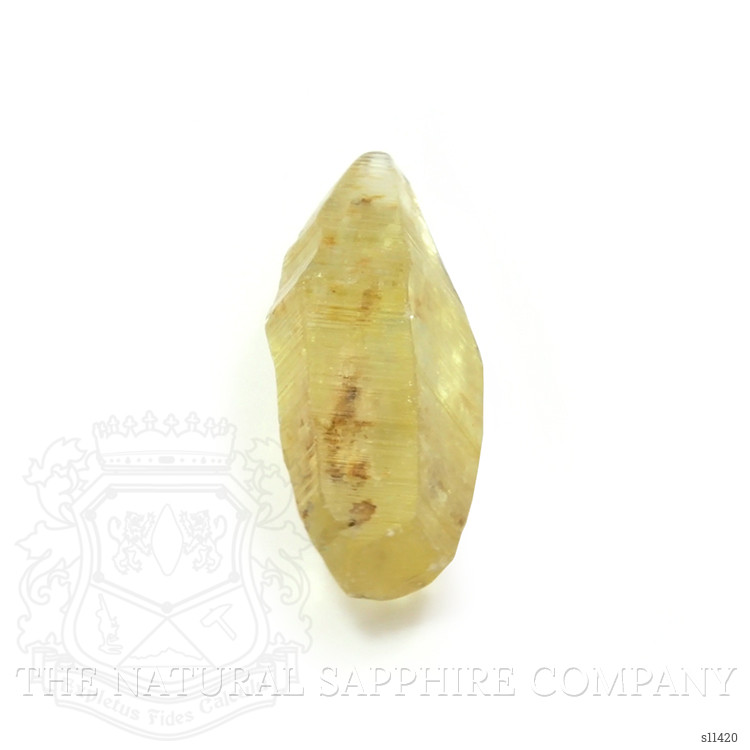 24.44 Ct. Yellow Sapphire Crystal from Ceylon (Sri Lanka)